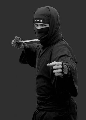 Ninja 2