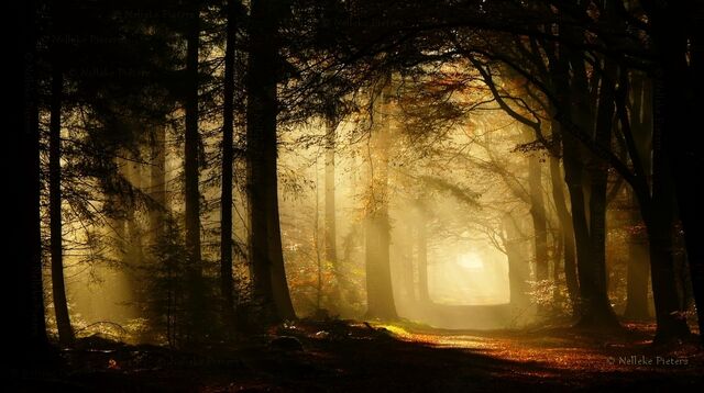 File:Lost.jpg
