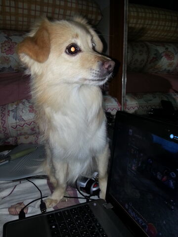 File:20140312 173334.jpg