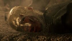 106 Viserys goldene Krone