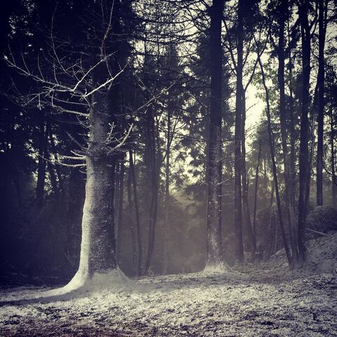 Файл:Belfast-snow.jpg