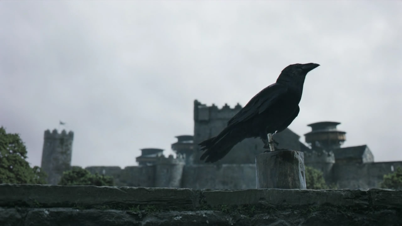 Ravens