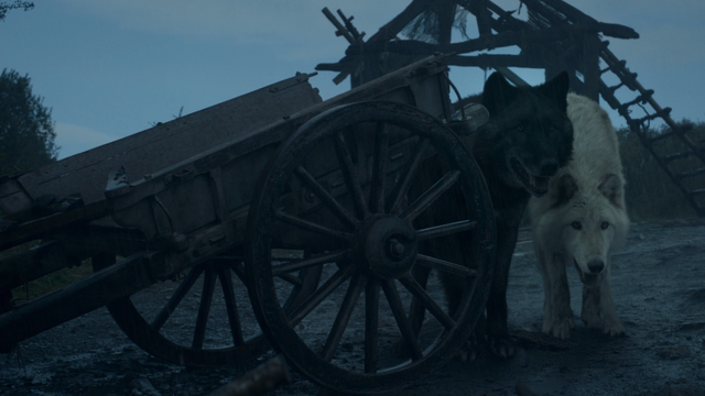 File:Summer, Shaggydog 3x09 1.png