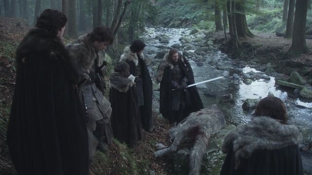 File:Mother of Direwolves 2.jpg