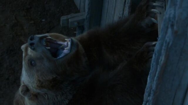 File:Little Bart the Bear.jpg