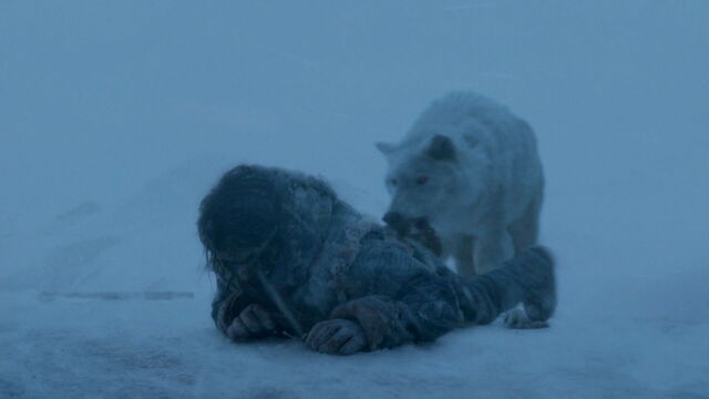 File:Ghost Attacks a Wite.jpg