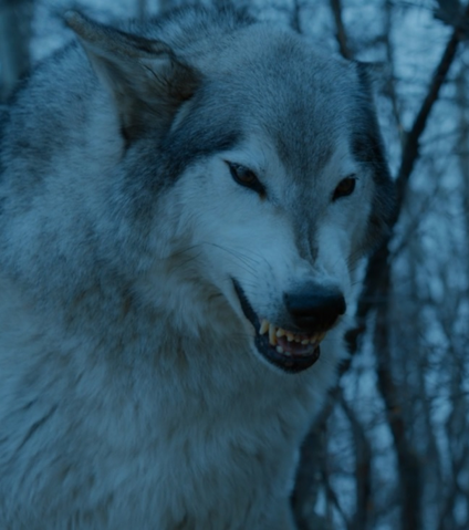 File:Nymeria-S7.png