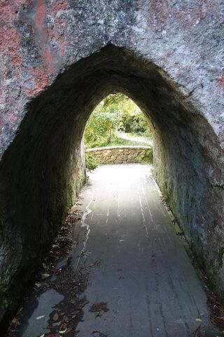 Datei:NordirlandTollymoreForestPark (5).jpg