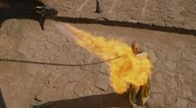 Drogon kills Kraznys S3E4.jpg