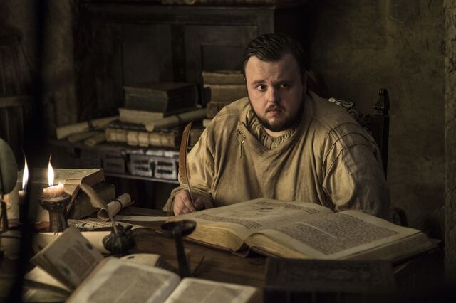 Datei:701 Samwell Tarly(2).jpg