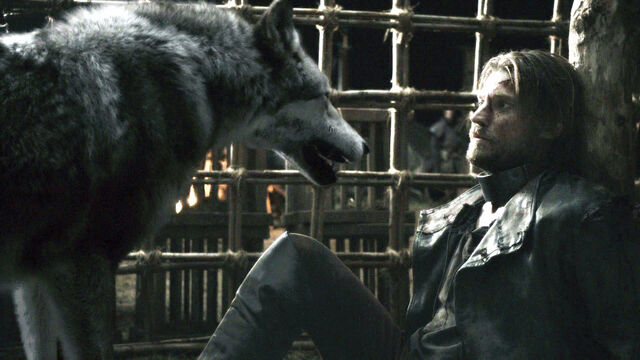 File:GreyWindJaimeFaceToFace.jpg