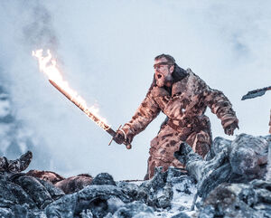 706 Beric Dondarrion 2