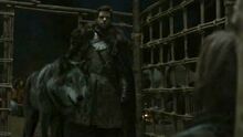 201-robbstark
