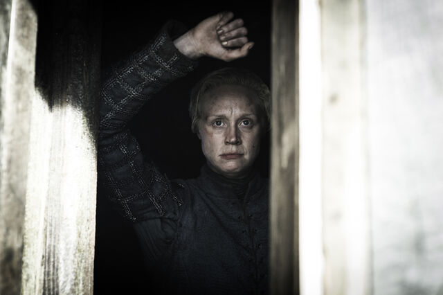 Datei:505 Brienne von Tarth.jpg