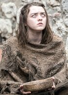 Arya Season 6 (Crop)