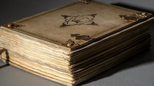 Белая книга