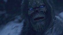 White Walker.jpg