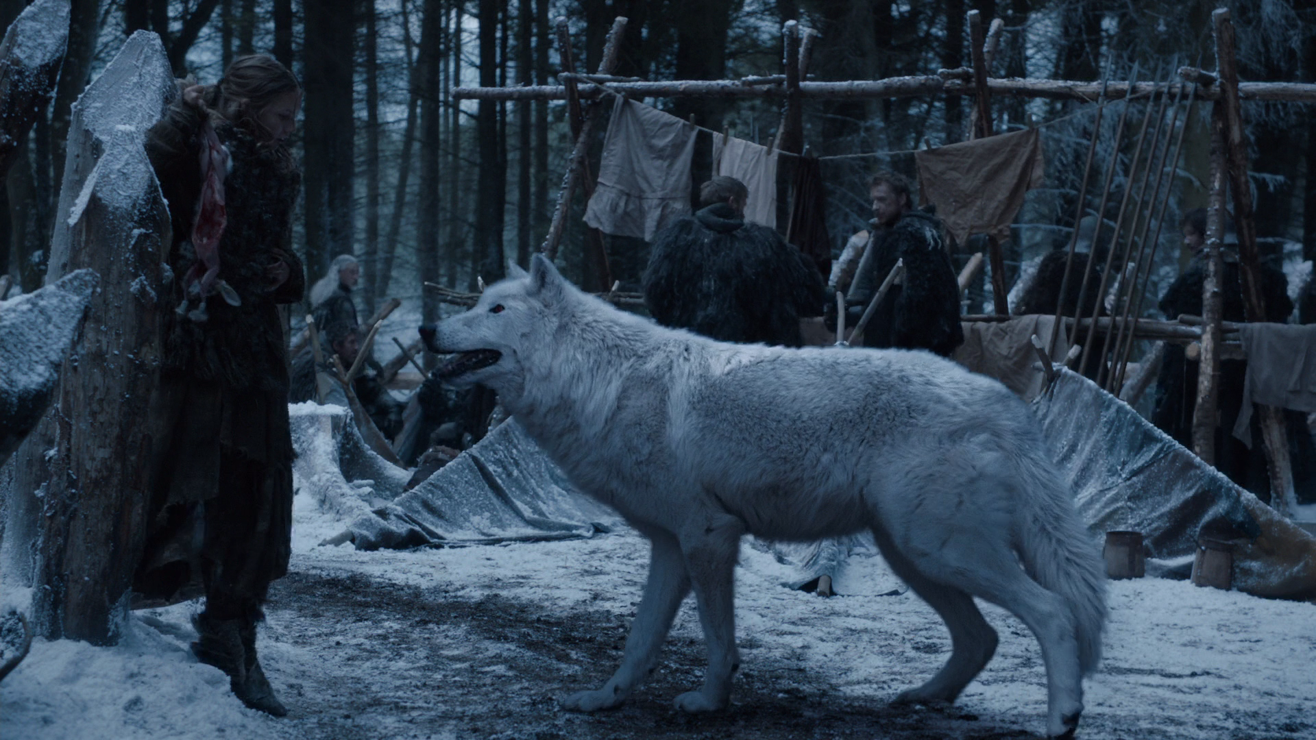 Everything You Need To Know About Dire Wolves To Be A Real Game Of Thrones Expert Barkpost