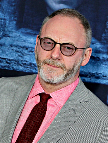 Liam Cunningham net worth salary