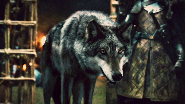 File:GreyWindSeason2Debut.jpg