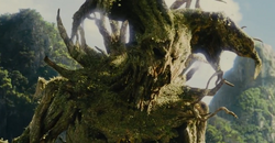 Kol's tree form