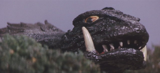 File:Gamera - 5 - vs Guiron - 45 - Gamera drops off the children on Earth.png