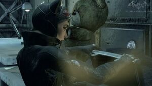 Catwomanbeutebac.jpg