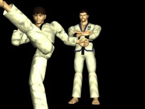 Baektekken2.jpg