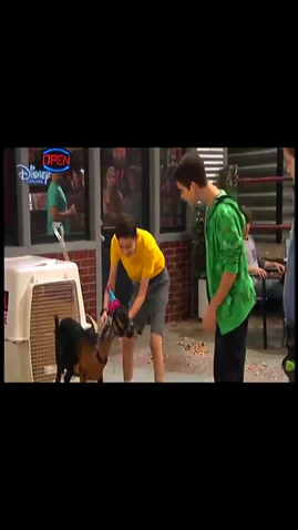 File:TheGoat2.png