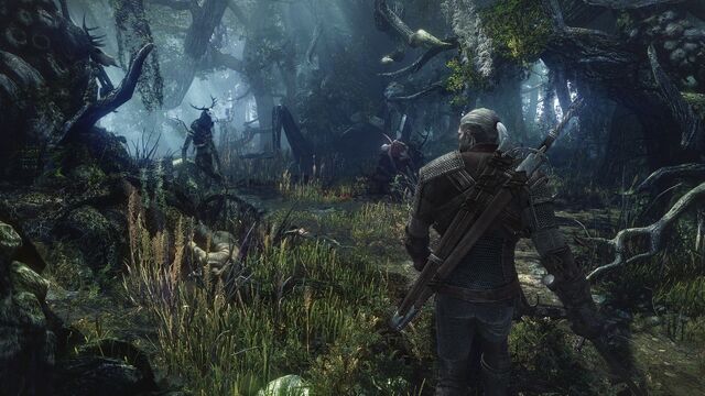 File:The-witcher-3-no7.jpg