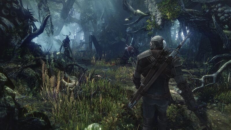 The-witcher-3-no7