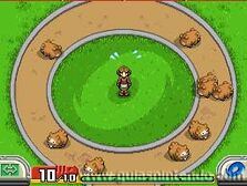 Pkmnragrsalma019