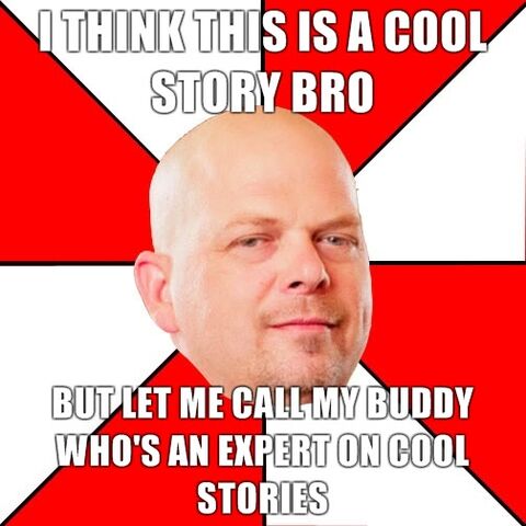 File:Cool story bro.jpg