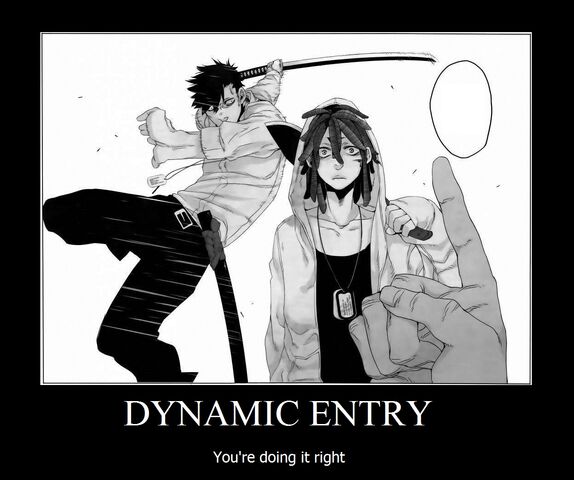 File:Nic DYNAMIC ENTRY 1.jpg