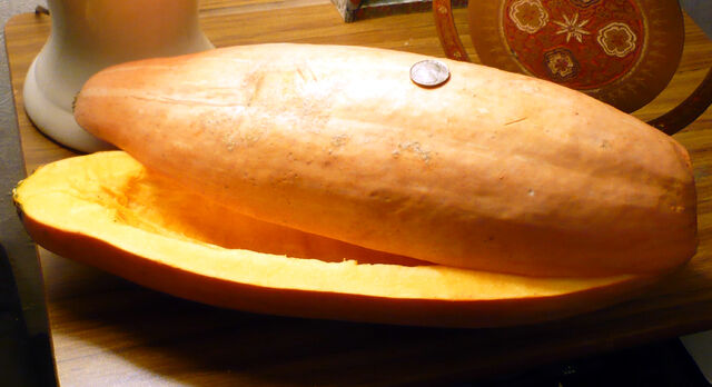 File:Pink Banana Squash.jpg
