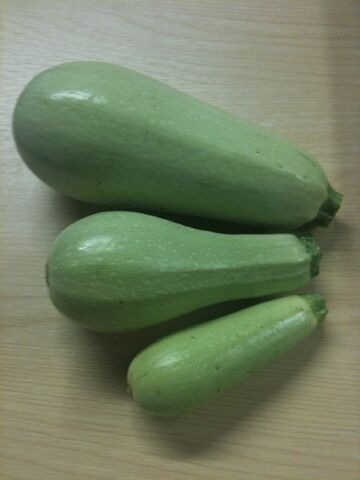 File:Courgette Opal Fruit.jpg