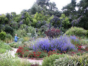 Herb Garden, Spring Blooms, Huntington Library