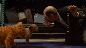 Happy Chapman Threatening Garfield & Odie