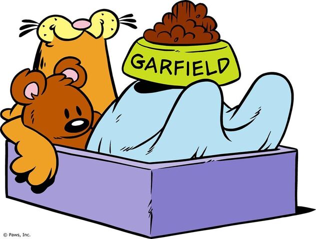 File:Garfield sleeping 2.jpg