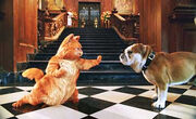 Garfield1