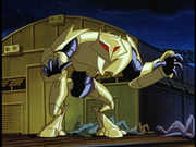 Coyote2.png