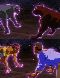 Werepanther