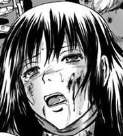 Noriko manga