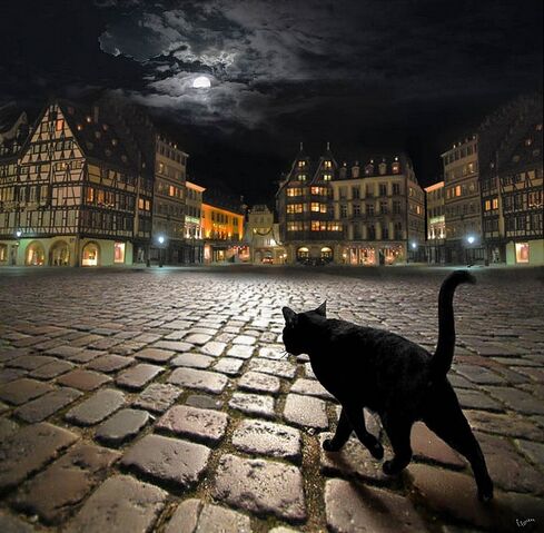 Archivo:De noche.jpg