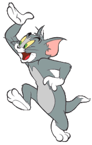 Tom cat