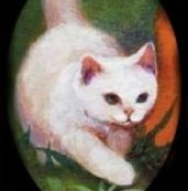Nimbo Blanco.png