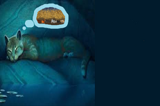 Preasgios.png
