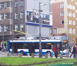 3005.jpg