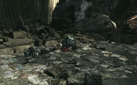 KR Two-Five Survivors