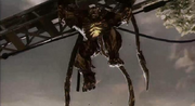 Berserker..png